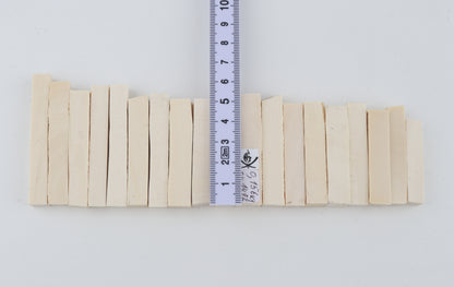 White mammoth ivory segments
