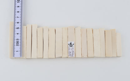 White mammoth ivory segments