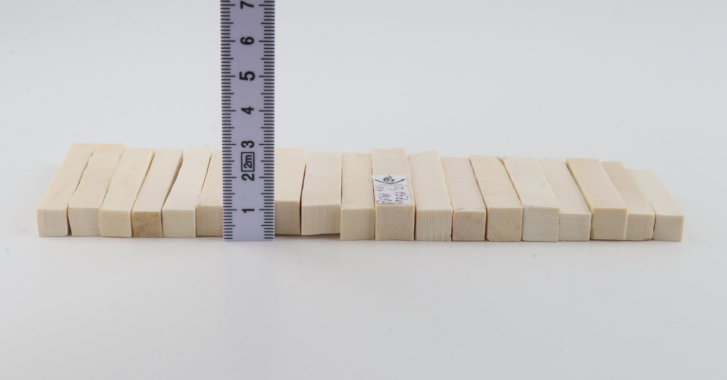 White mammoth ivory segments