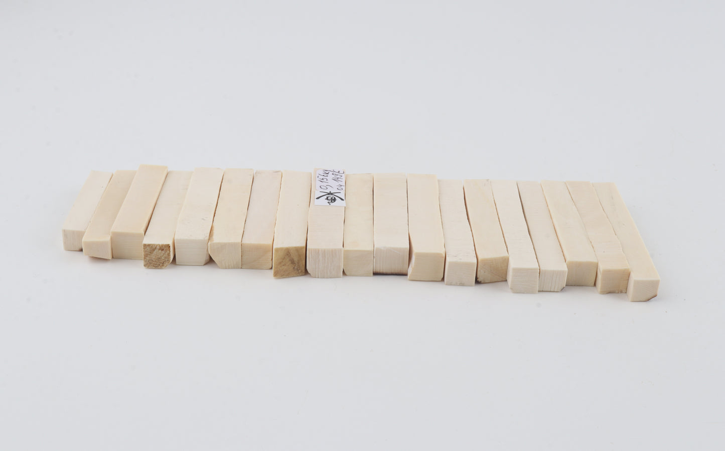 White mammoth ivory segments
