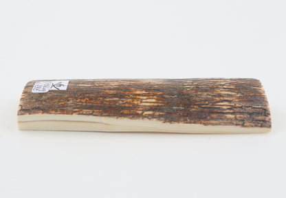 Brown mammoth bark