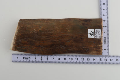 Green-mustard mammoth bark