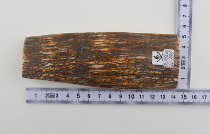 Brown mammoth bark