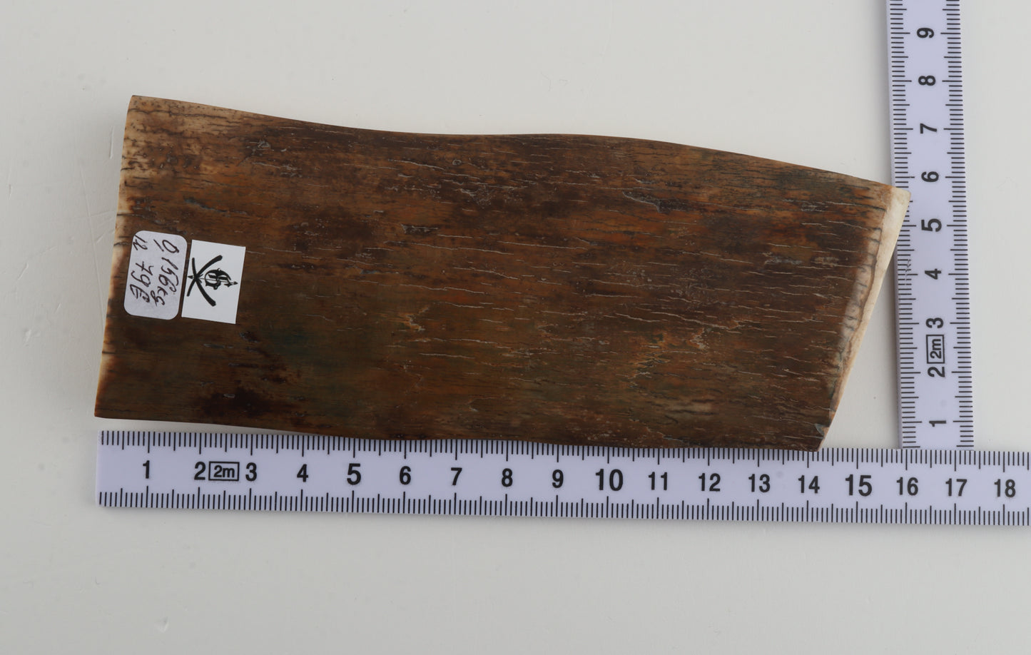 Green-mustard mammoth bark