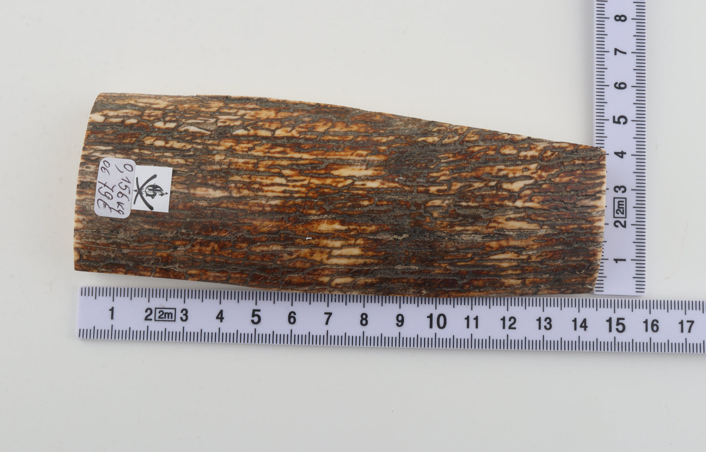 Brown mammoth bark
