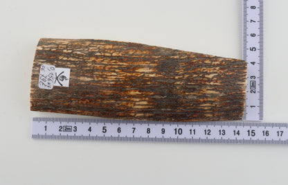 Brown mammoth bark