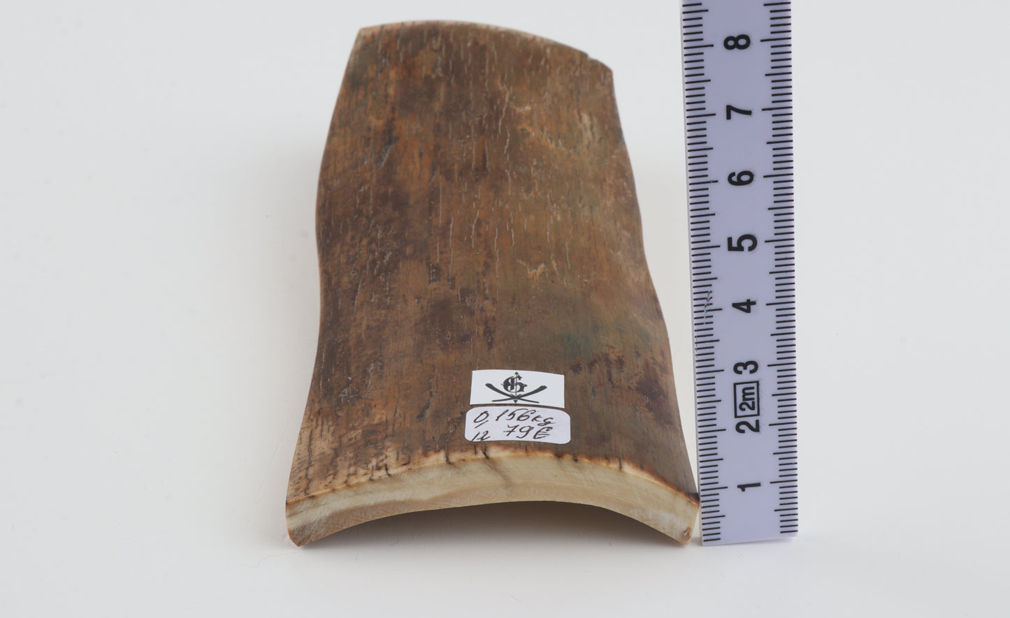 Green-mustard mammoth bark