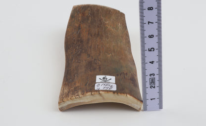 Green-mustard mammoth bark