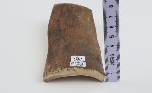 Green-mustard mammoth bark