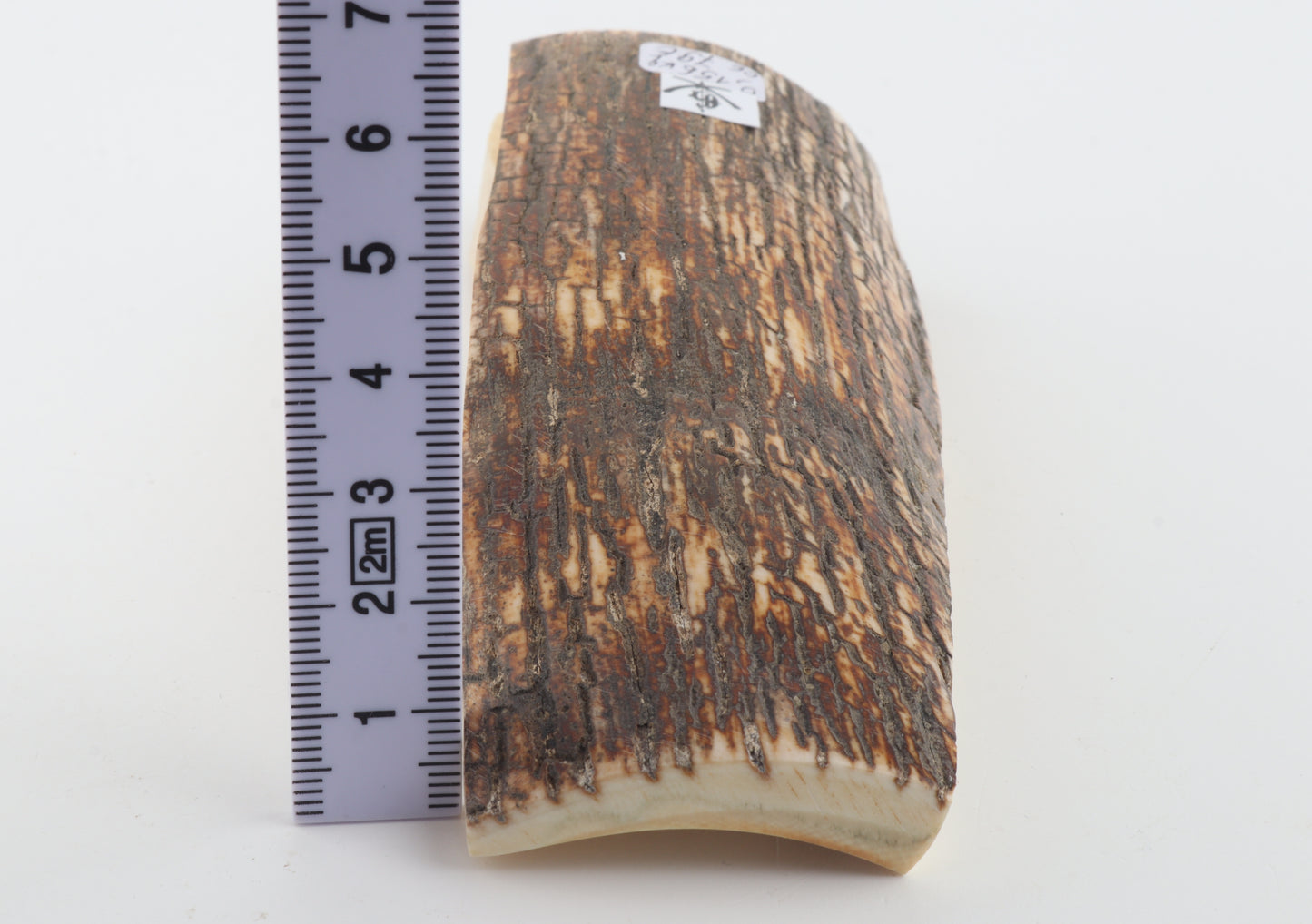 Brown mammoth bark