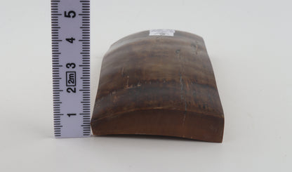 Brown mammoth ivory piece