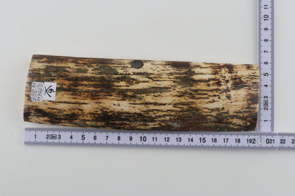 Natural mammoth bark
