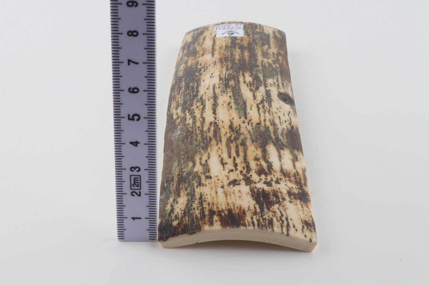 Natural mammoth bark