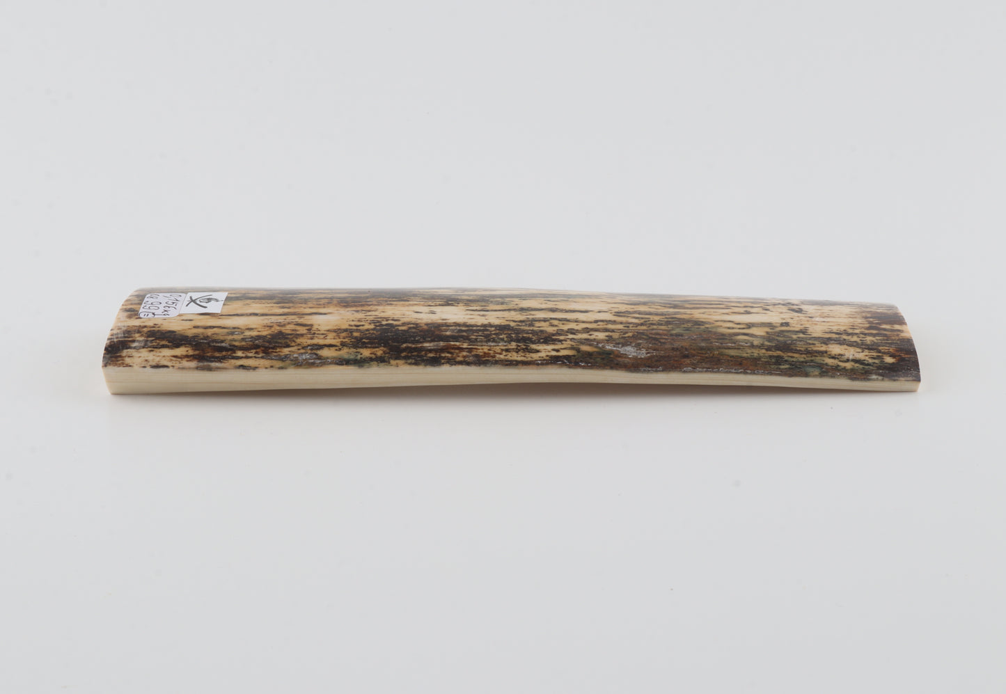 Natural mammoth bark