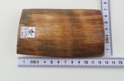 Caramel-brown mammoth bark