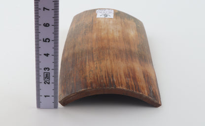 Caramel-brown mammoth bark