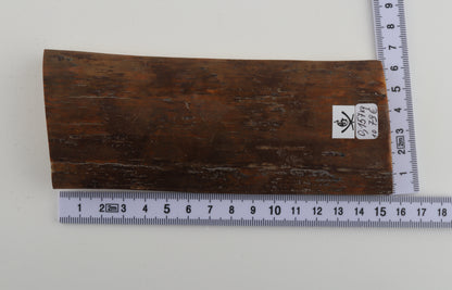 Mustard mammoth bark