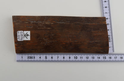 Mustard mammoth bark