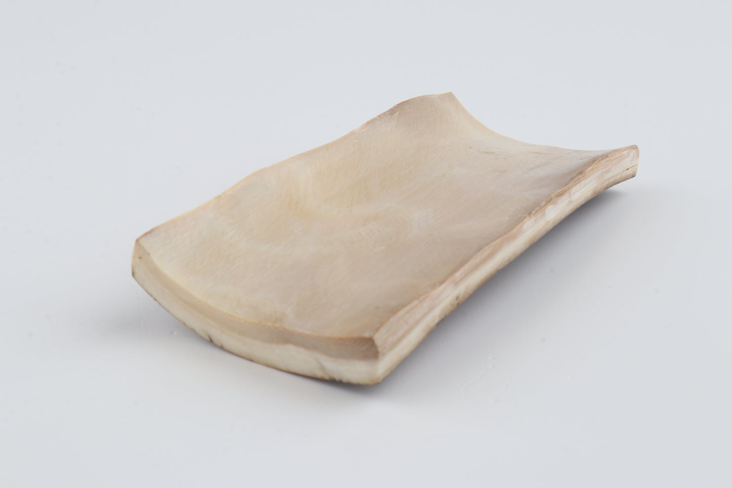 Mustard mammoth bark