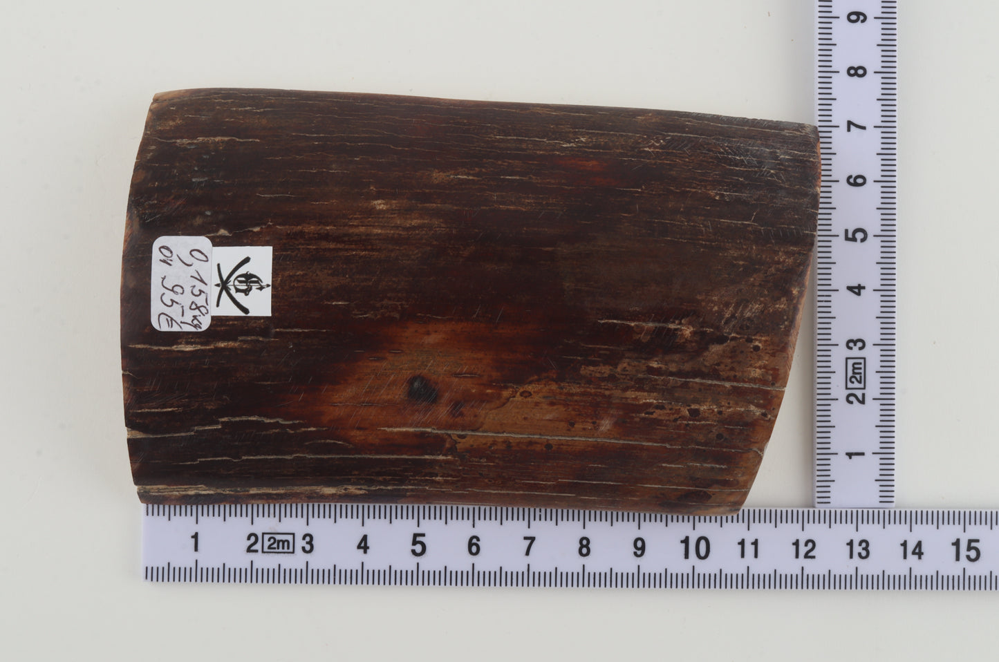Brown-caramel mammoth bark