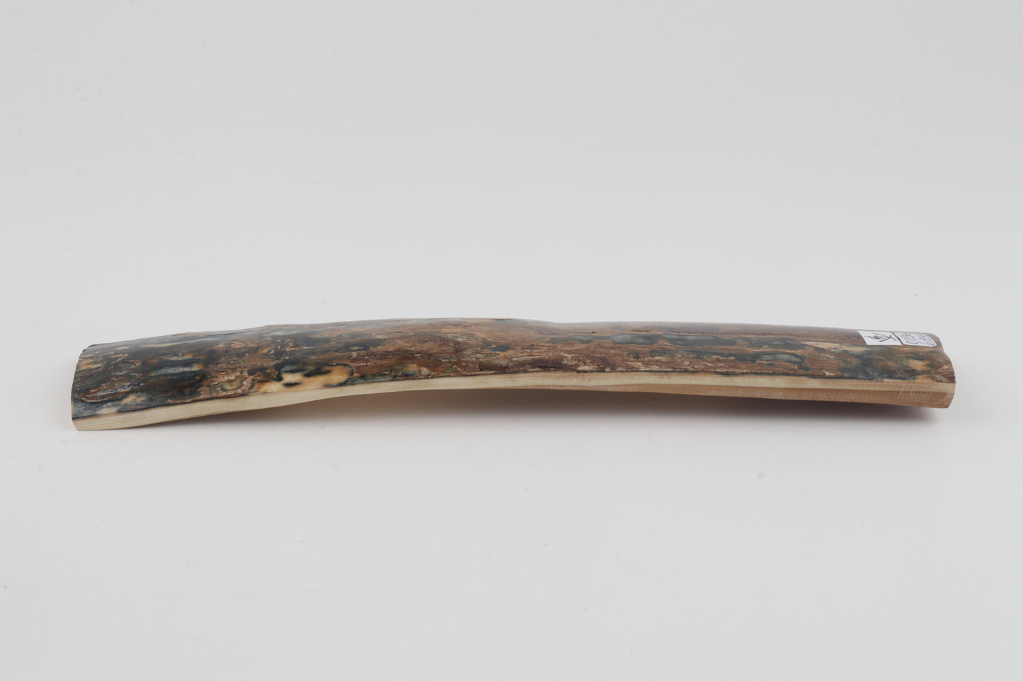Brown-blue mammoth bark