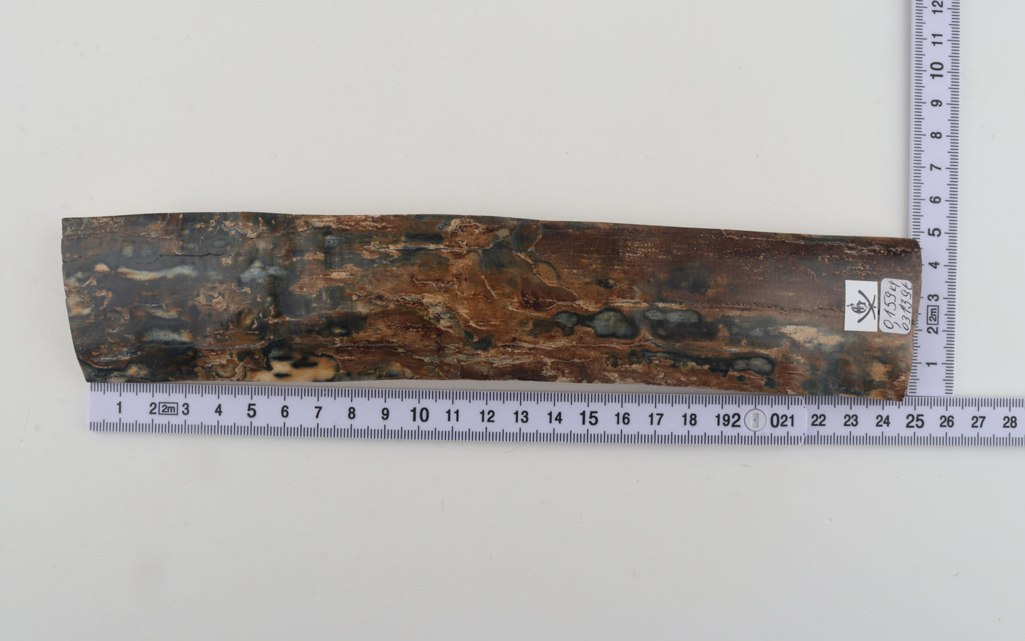 Brown-blue mammoth bark