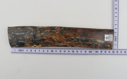 Brown-blue mammoth bark