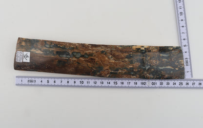 Brown-blue mammoth bark