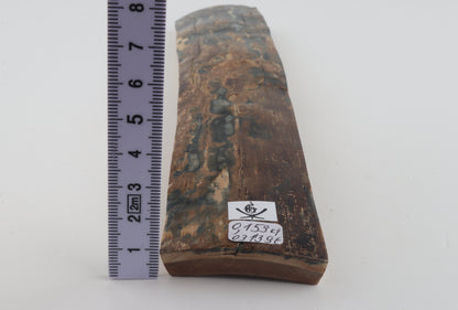 Brown-blue mammoth bark