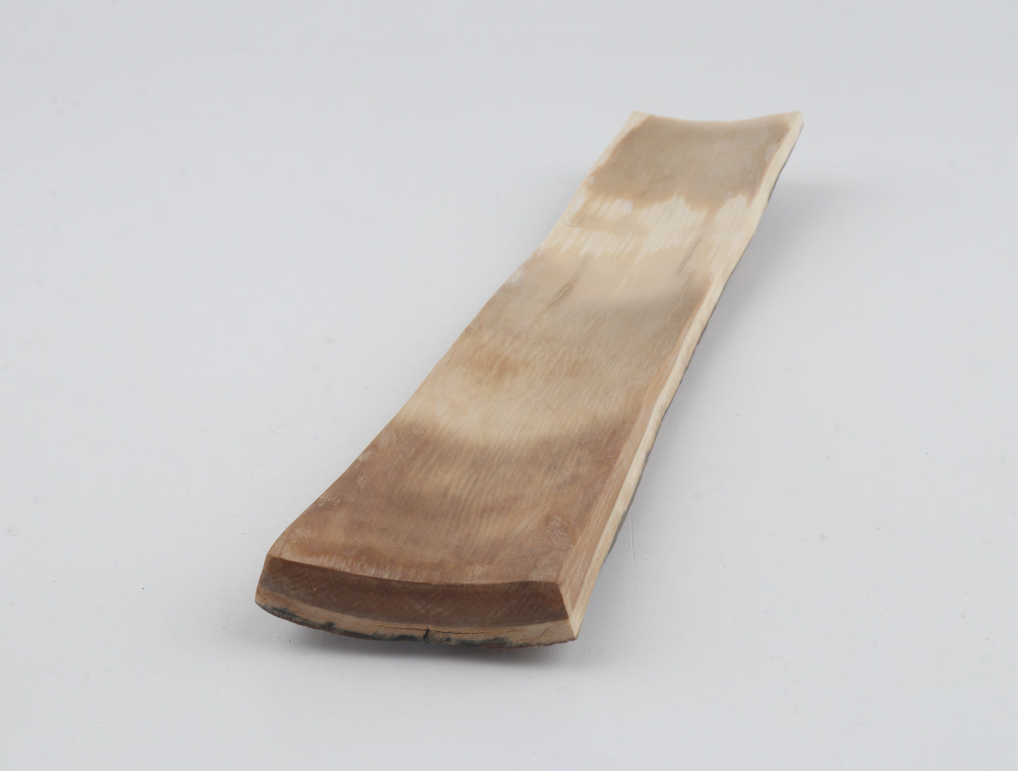 Brown-blue mammoth bark