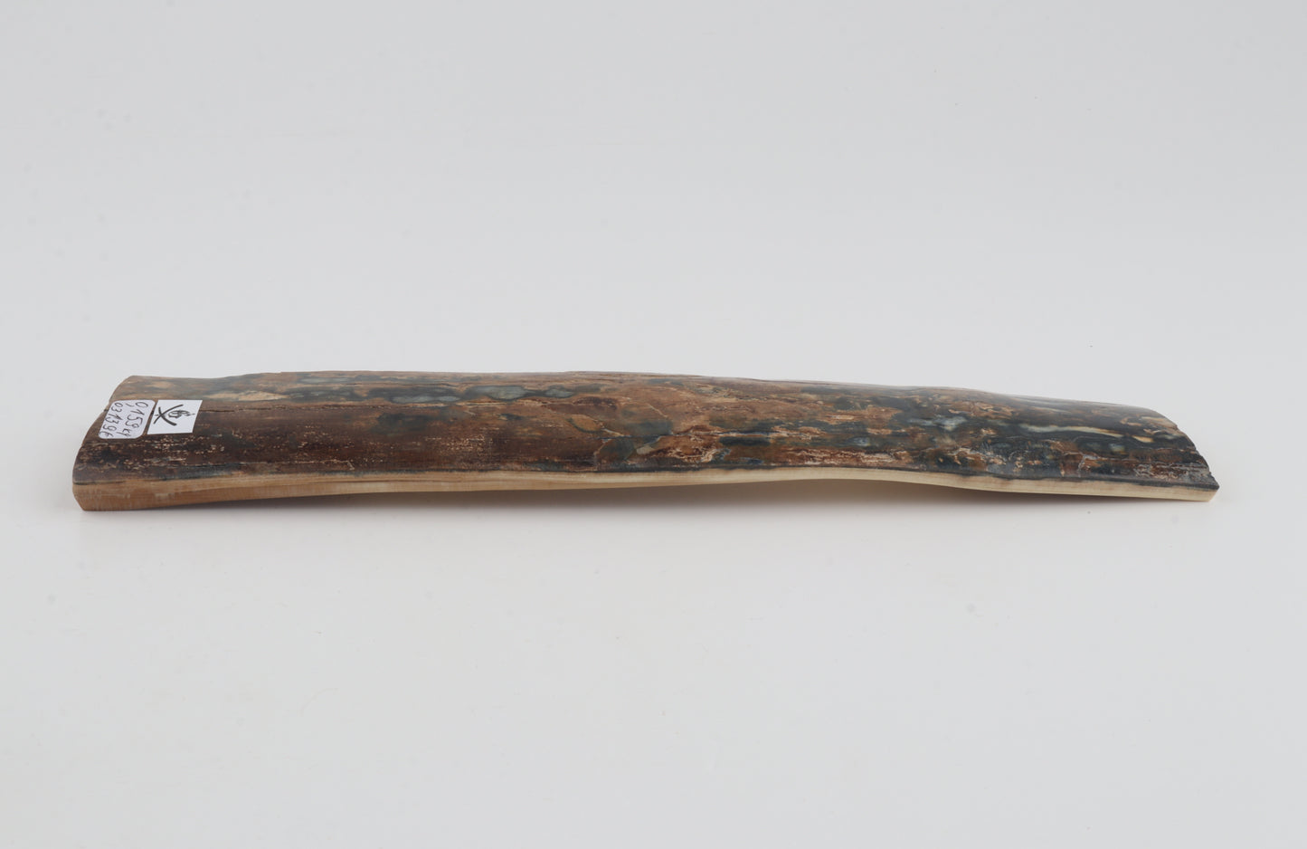 Brown-blue mammoth bark