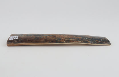 Brown-blue mammoth bark