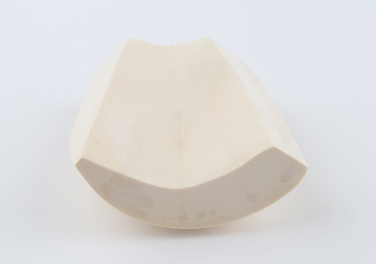 White mammoth ivory segment