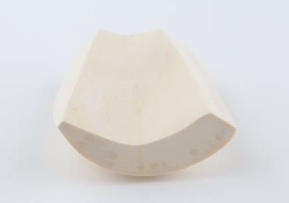 White mammoth ivory segment