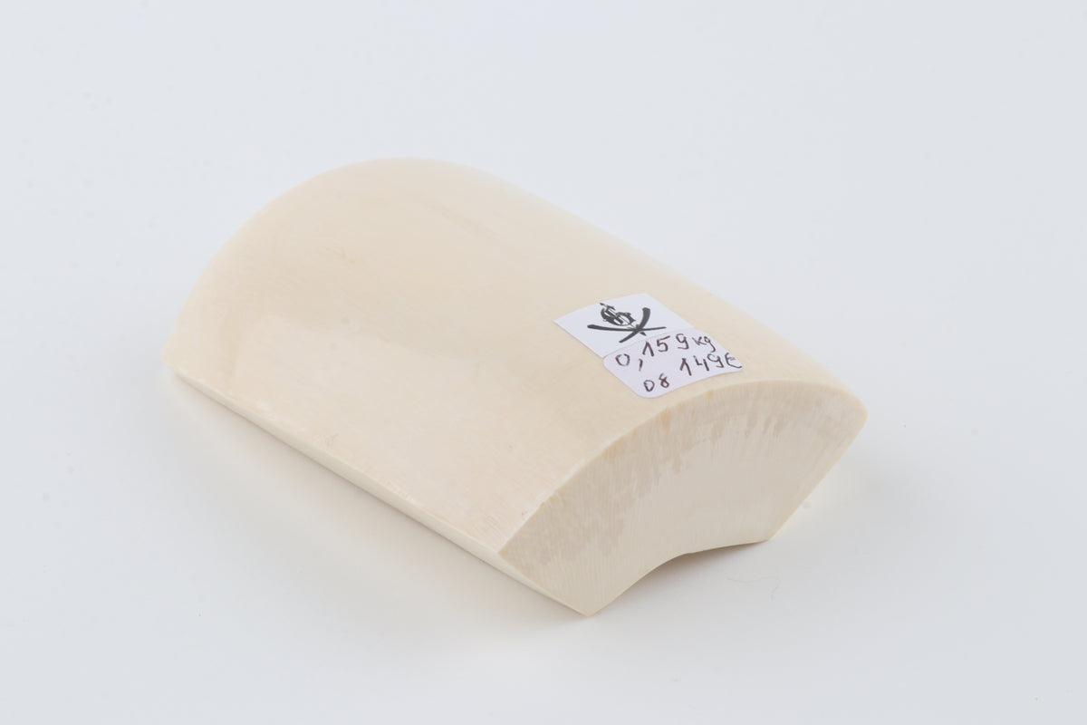 White mammoth ivory segment