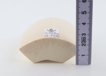 White mammoth ivory segment