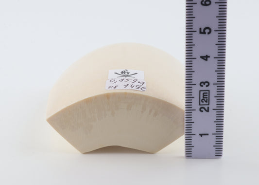 White mammoth ivory segment