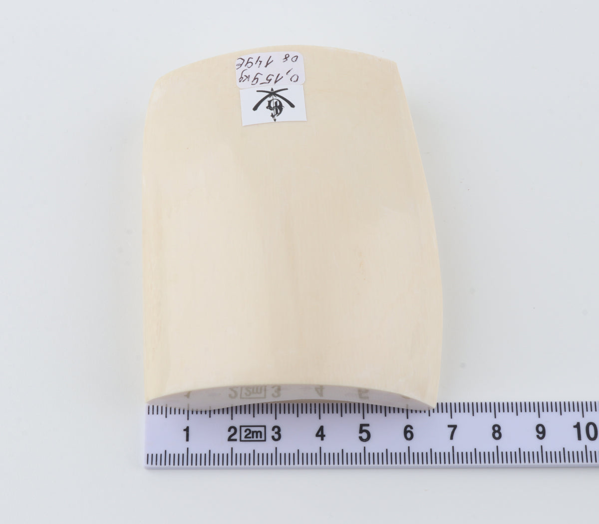 White mammoth ivory segment
