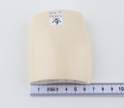 White mammoth ivory segment