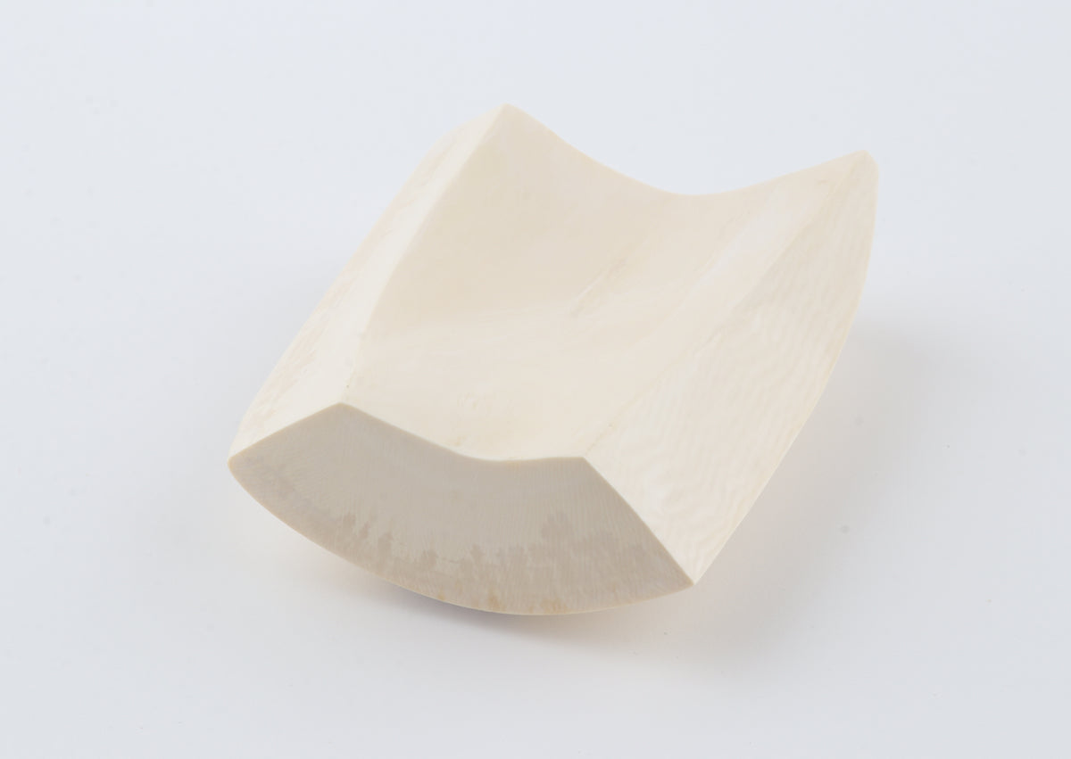 White mammoth ivory segment