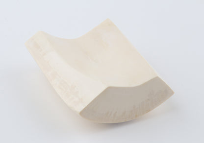 White mammoth ivory segment