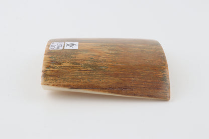 Mustard-green mammoth bark