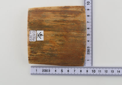 Mustard-green mammoth bark