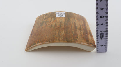 Mustard-green mammoth bark