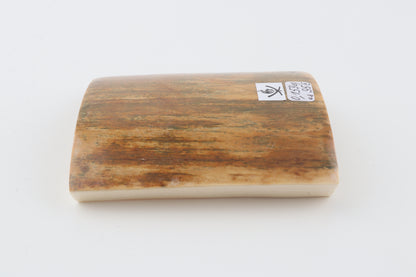 Mustard-green mammoth bark