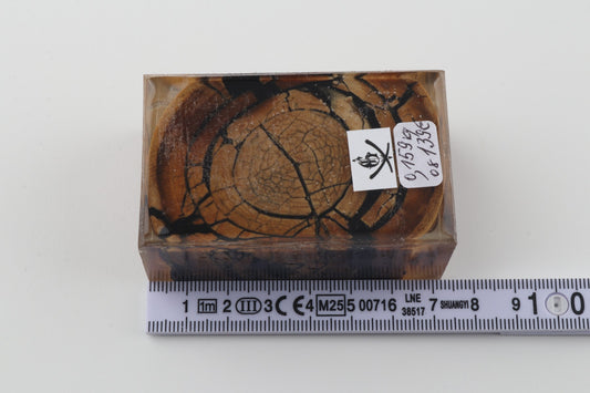 Stabilised mammoth ivory block