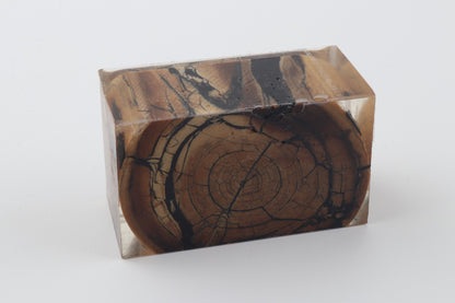 Stabilised mammoth ivory block