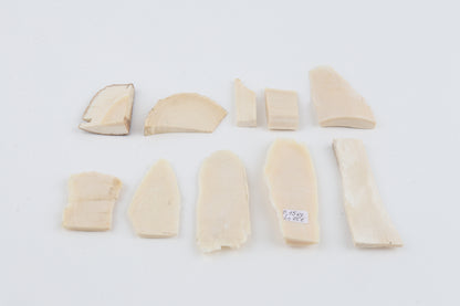 Raw mammoth ivory pieces