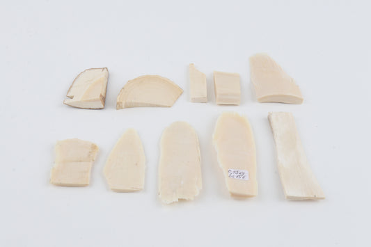 Raw mammoth ivory pieces