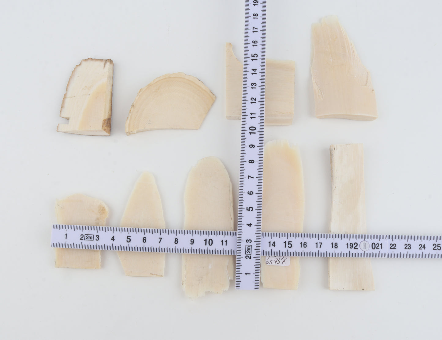 Raw mammoth ivory pieces